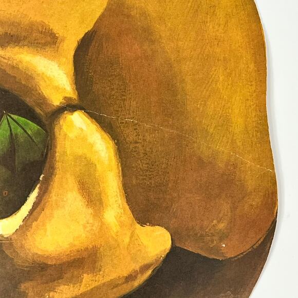 Vintage Halloween Skull Die Cut Decoration Bat Snake Frog 16"x13" Double Sided - Picture 12 of 13